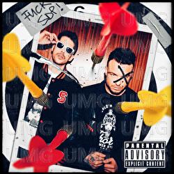 Du hast gehofft - SDP