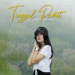 Tinggal Pamit - Jay Alexa