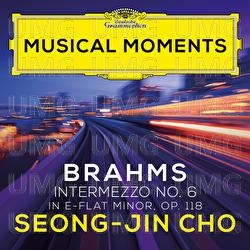Brahms: 6 Pieces for Piano, Op. 118: VI. Intermezzo in E Flat Minor. Andante, largo e mesto
