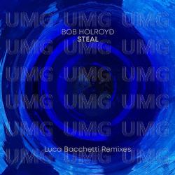 Steal - Bob Holroyd