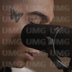 Fiolkowe Pole - Sobel, Piotrek Lewandowski