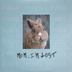 Mom, I&rsquo;m Lost - Pam Rabbit