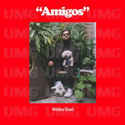 Amigos - Walter Esa&uacute;