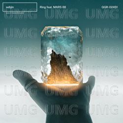 Ring - sebjin, MARS 88