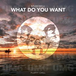 What Do You Want - Brunewell