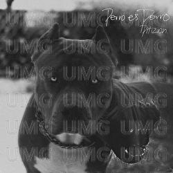 Perro Es Perro - Pitizion