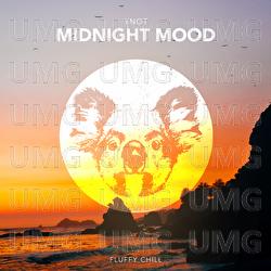 Midnight Mood - YNOT