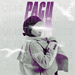 Pacu - Juki