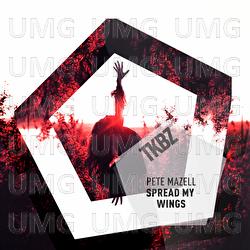 Spread My Wings - Pete Mazell