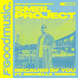 Because Of you - SMBL Project, Sam Karlson, Luke Delite