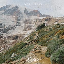 Shiloh - Night Beds