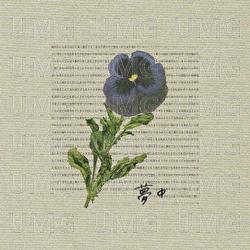 Unrequited Love - Ochunism