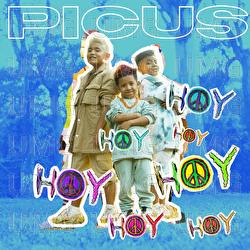 Hoy - Picus