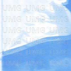 Circus - Niko Walters