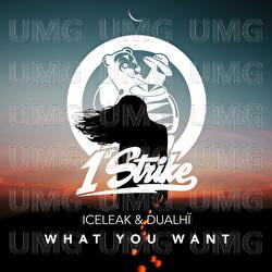 What You Want - Iceleak, Dualh&iuml;