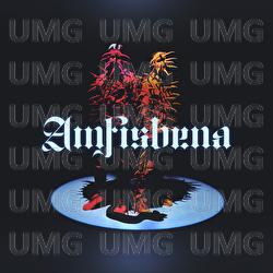 Polski Karnawal - Young Igi, Żabson