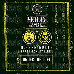 Skylax House Explosion - Under The Loft - DJ Sprinkles, Hardrock Striker
