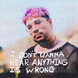 I Don't Wanna Hear Anything Is Wrong - Matias Mora