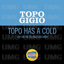 Topo Has A Cold - Topo Gigio