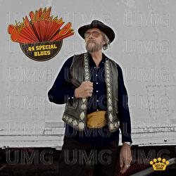 .44 Special Blues - Hank Williams Jr.