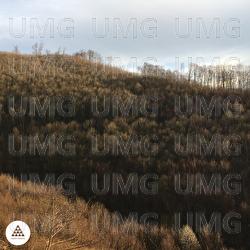 Forgive - Liminka