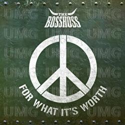 For What It's Worth - The BossHoss