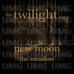 The Twilight Saga - London Music Works