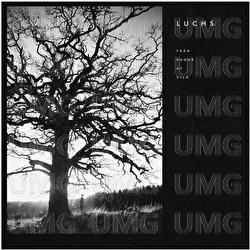 Fr&aring;n dagar av vila - LUCHS