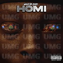 Homi - Wallie the Sensei
