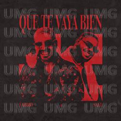 Que Te Vaya Bien - Fabbio, Sael