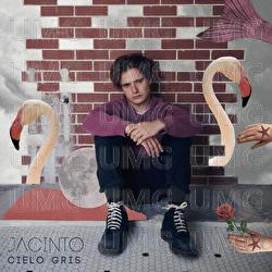 Cielo Gris - Jacinto
