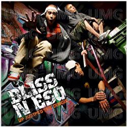 Up Jumped The Boogie - Bliss n Eso