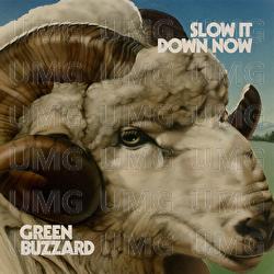 Slow It Down Now - Green Buzzard