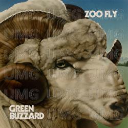 Zoo Fly - Green Buzzard