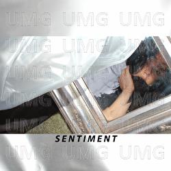 Sentiment - ALTA