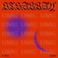 Disarray - D'Arcy Spiller