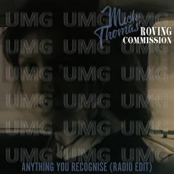 Anything You Recognise - Mick Thomas
