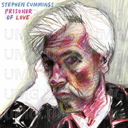The Wind Blew Hard - Stephen Cummings