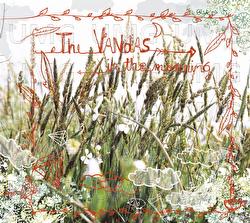 In The Morning - The Vandas