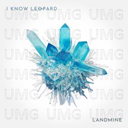 Landmine - I Know Leopard