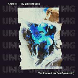 You Tore Out My Heart - Tiny Little Houses