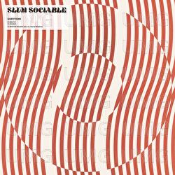 Questions - Slum Sociable