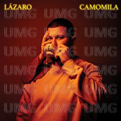 Camomila - L&aacute;zaro