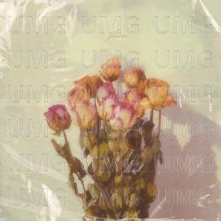 flower - Kim Jeong_uk