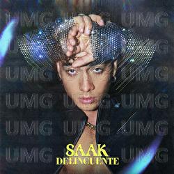 Delincuente - Saak