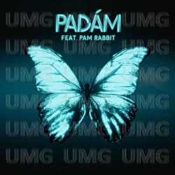 Padam - Slza, Pam Rabbit