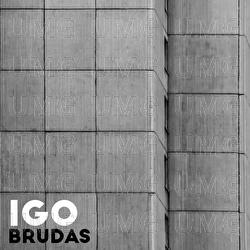 Brudas - Igo