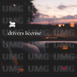 drivers license - Eugene Goh