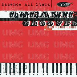 Organic Grooves - Essence All Stars
