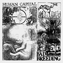 Rebuilding - Bad Breeding